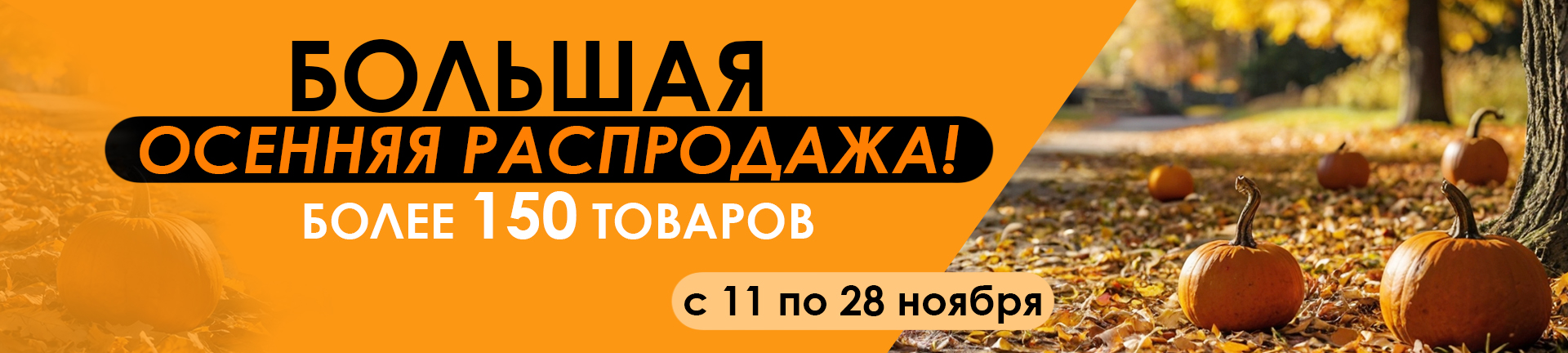 Черная Пятница 2025